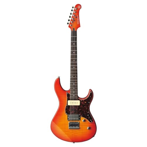Translucent Black 6 String Solid-Body Electric Guitar L990949