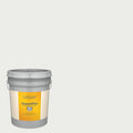 Flat Cool Gray Exterior Paint 5-Gallon G7719
