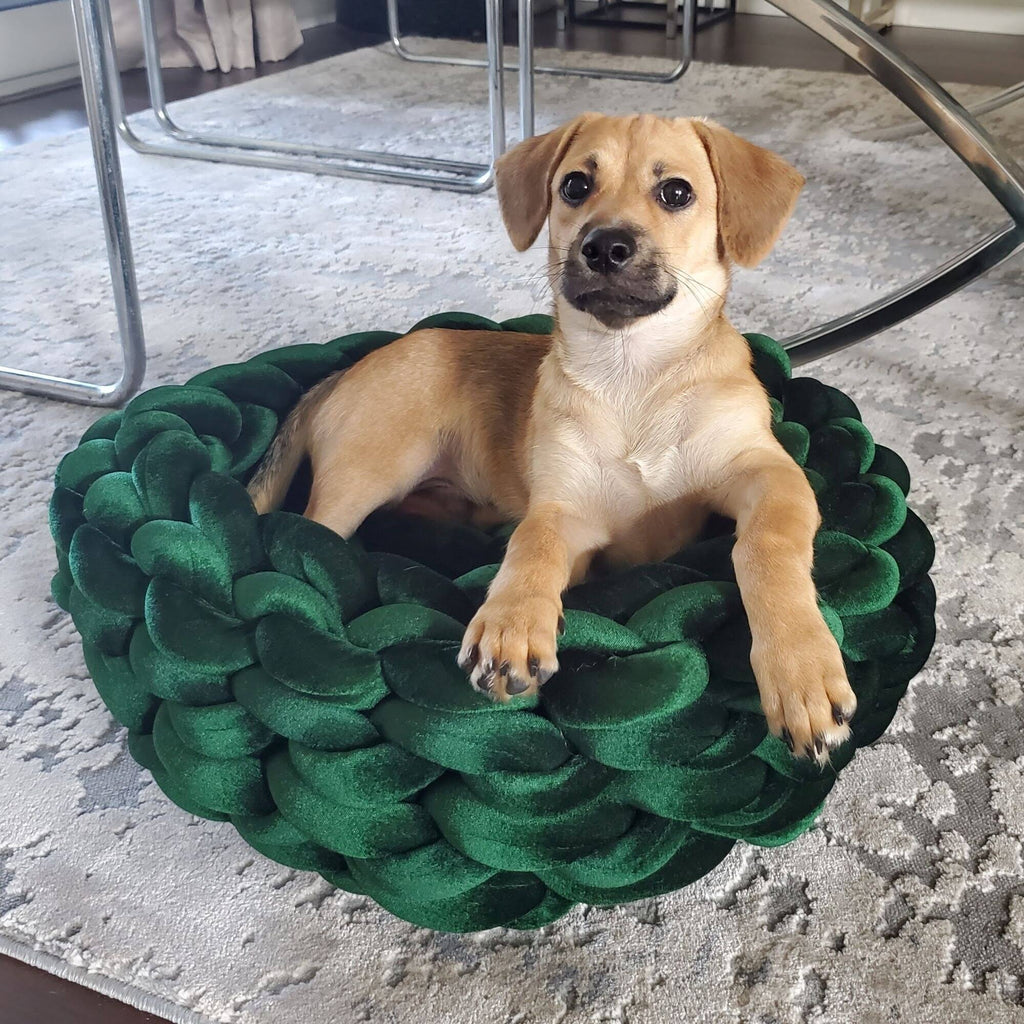Velvet Dog or Cat Pet Bed B2499