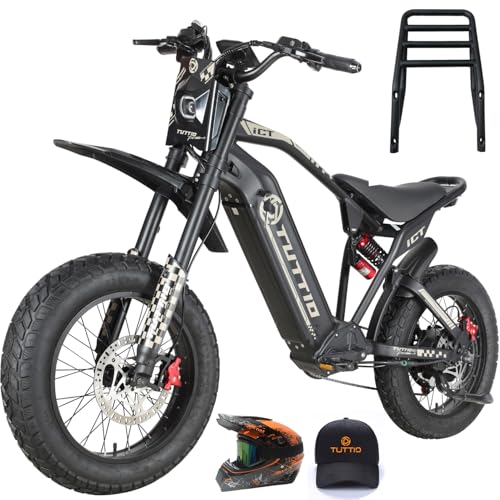 20" Fat Tire Electric Dirt Bike X565