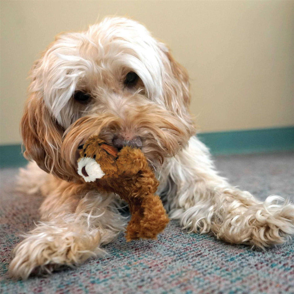 Teddy Bear Dog Toy T859111