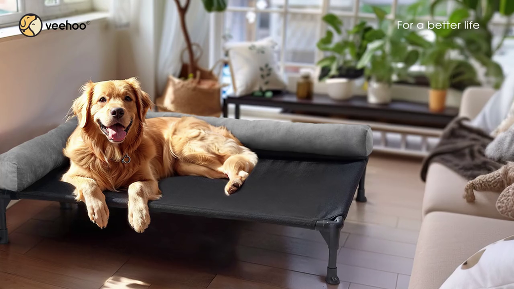 Black Elevated Dog Bed with Removable Bolster C43255