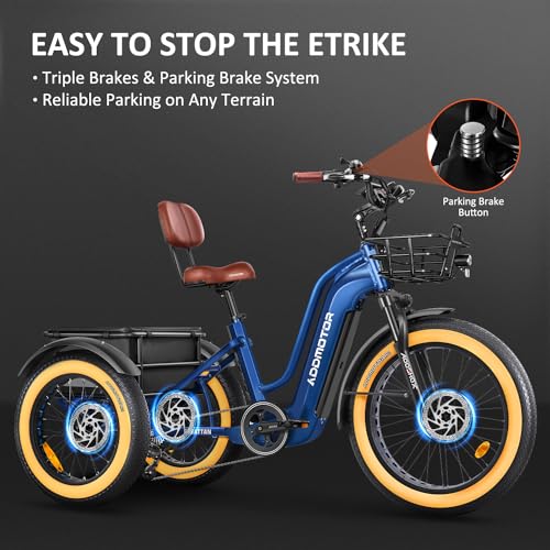 Electric Trike with 750W Rear Motor, 48V 20AH/40AH Dual Battery System, Differential, Parking Brake A312