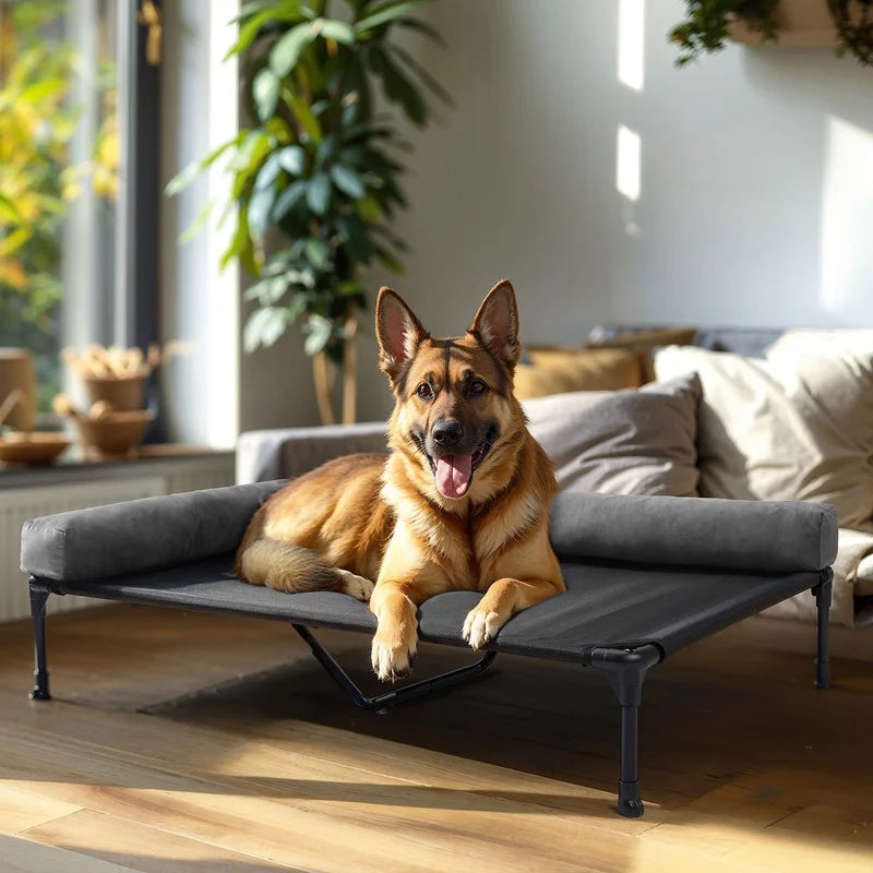 Black Elevated Dog Bed with Removable Bolster C43255
