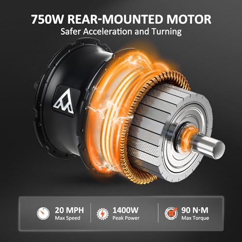 Electric Trike with 750W Rear Motor, 48V 20AH/40AH Dual Battery System, Differential, Parking Brake A312