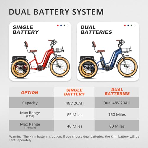 Electric Trike with 750W Rear Motor, 48V 20AH/40AH Dual Battery System, Differential, Parking Brake A312