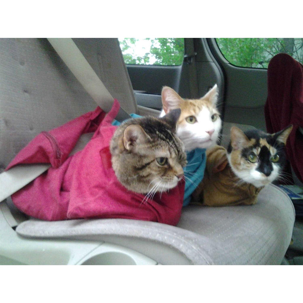 Cat Carrier W259337