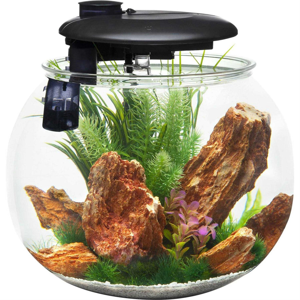 10 Gallon Bowl-Shaped Aquarium C606