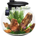 10 Gallon Bowl-Shaped Aquarium C606
