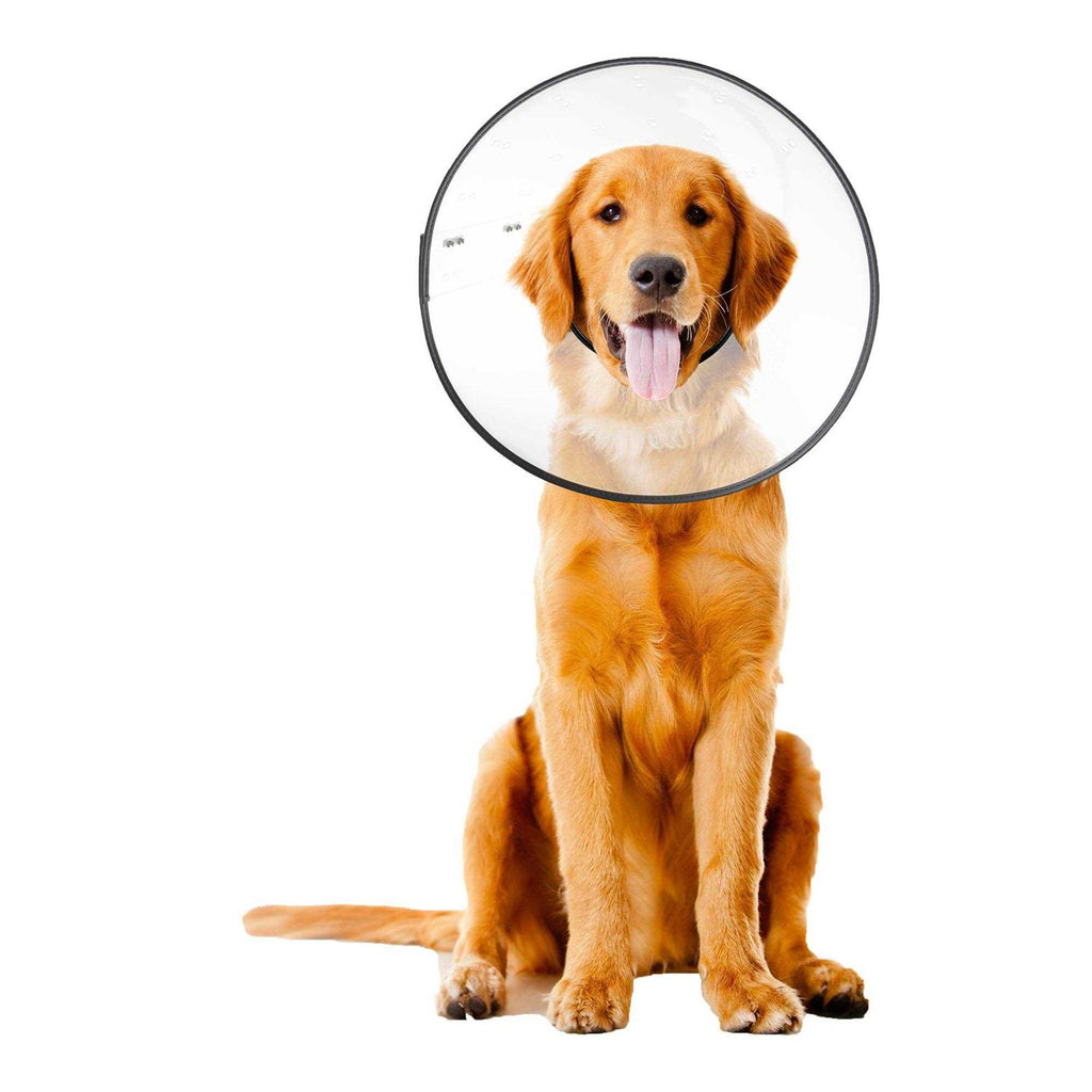 Clear Recovery Collar G762260