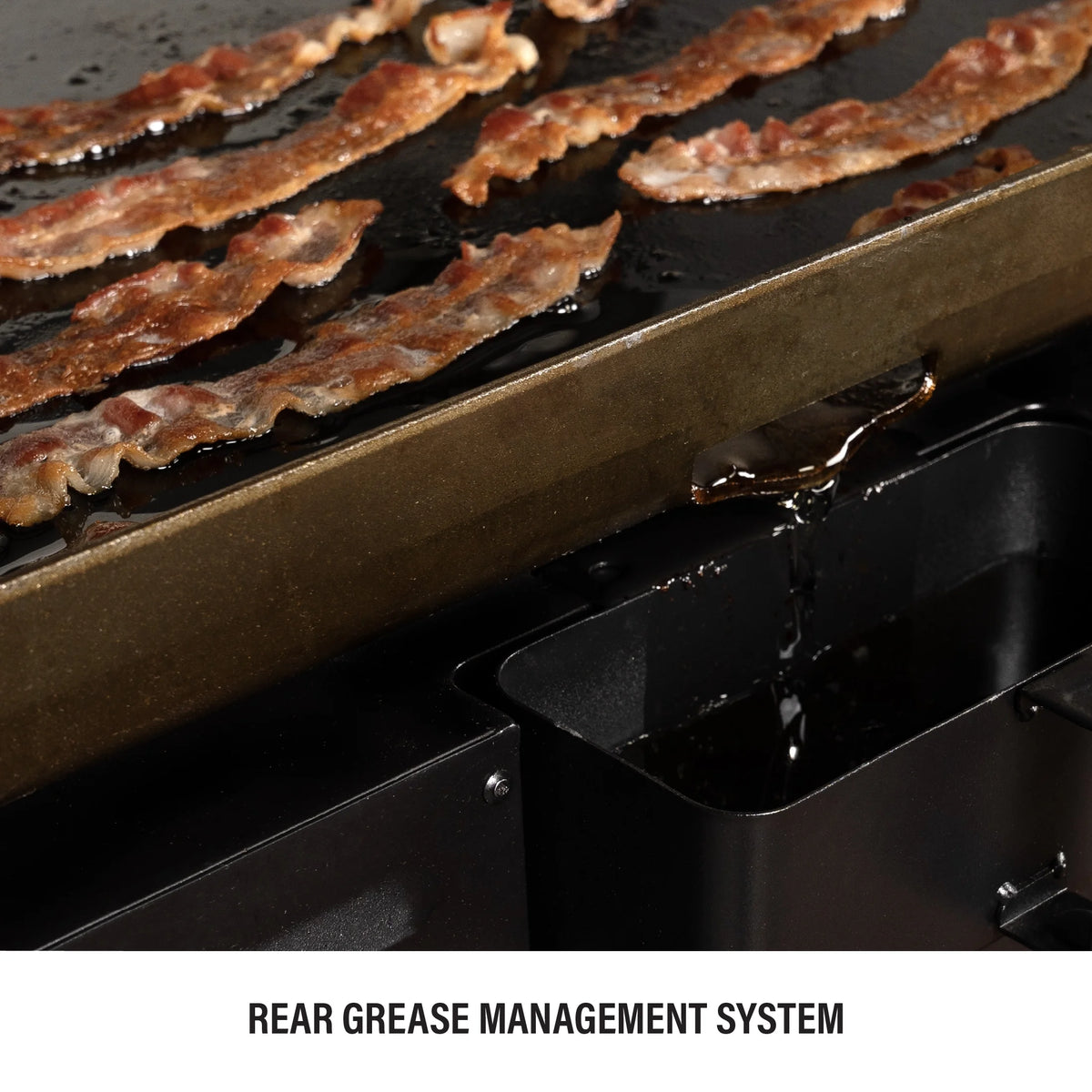 4-Burner Propane Griddle with Hard Cover Q105423