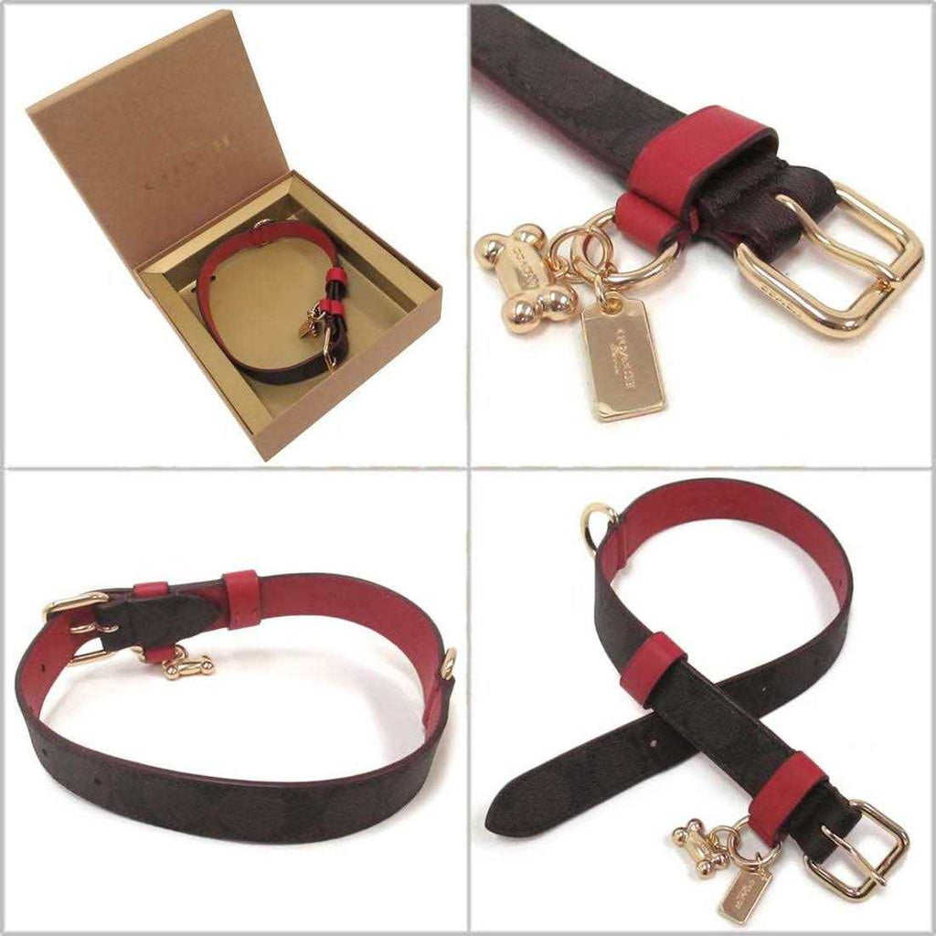 Boxed Pet Collar In Signature Canvas Y675