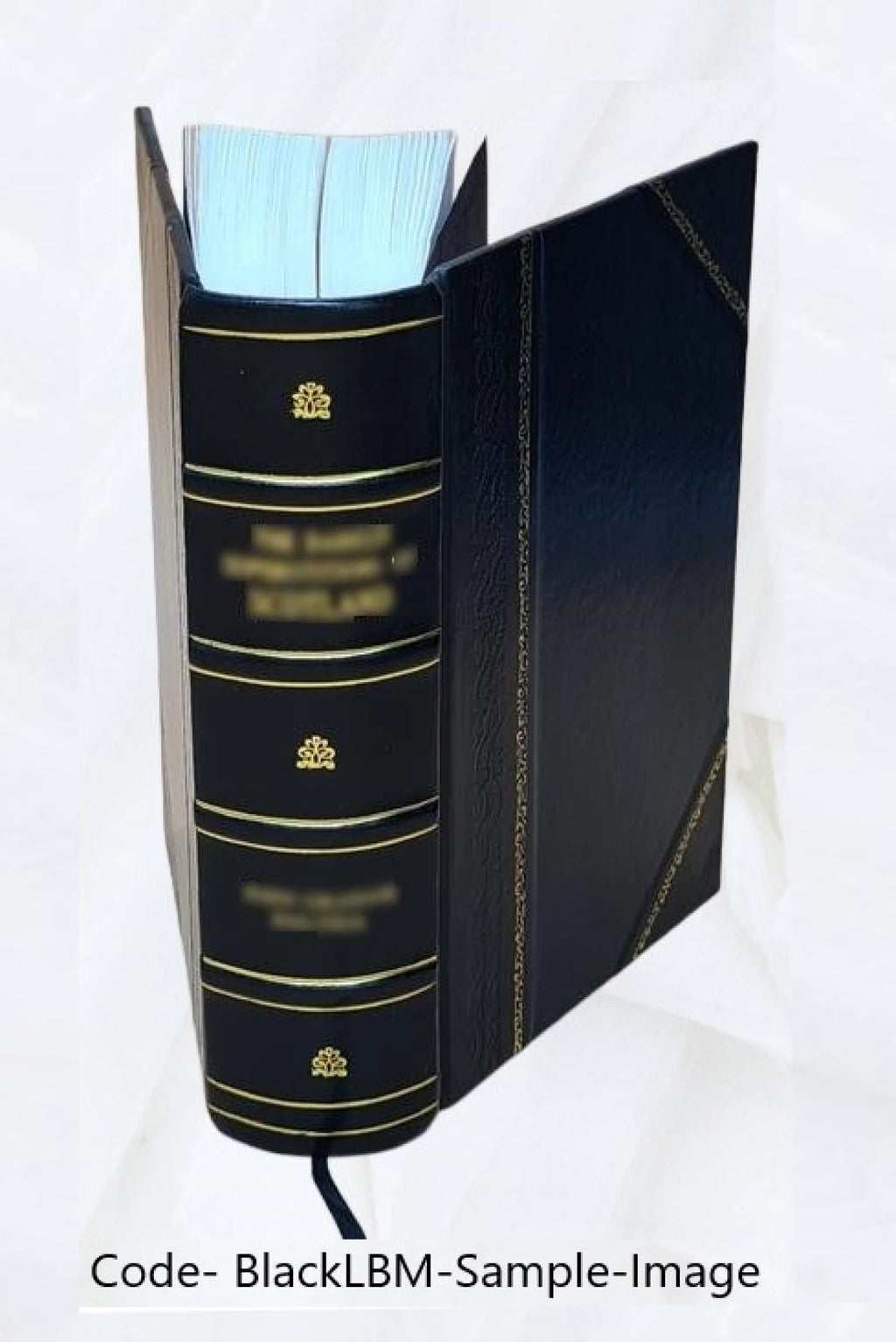 Encyclopaedie oder allgemeines System der Staats Stadt Haus und Landwirthschaft L380632