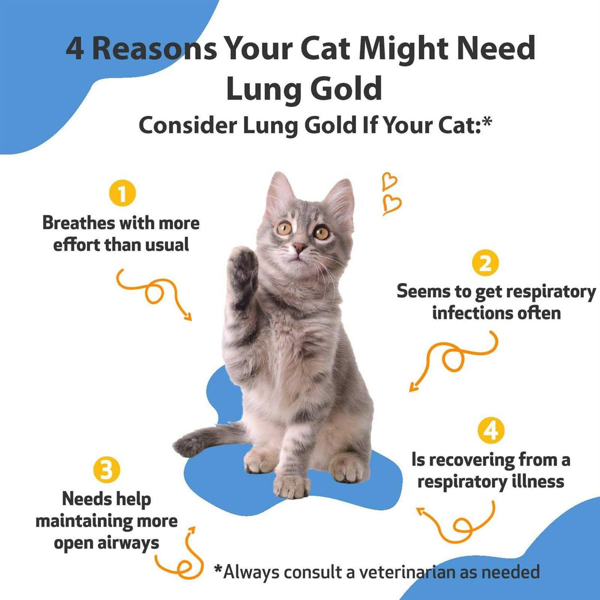 Lung Gold for Cats W881