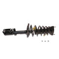 Strut Plus Z8253