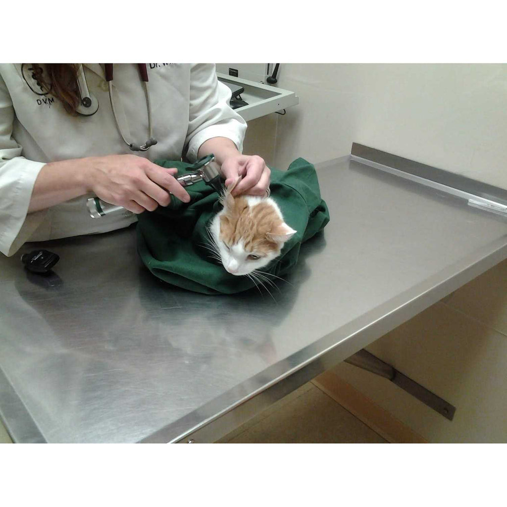 Cat Carrier W259337