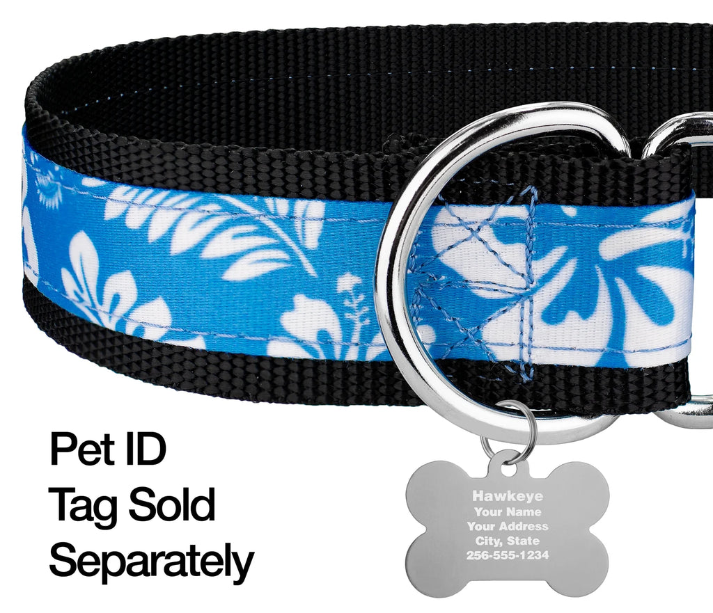 Blue Hawaiian Nylon Martingale Dog Collar, Medium I805155