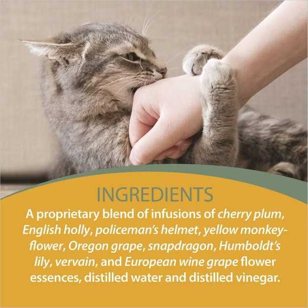 Botanical Animal Flower Essence H7355