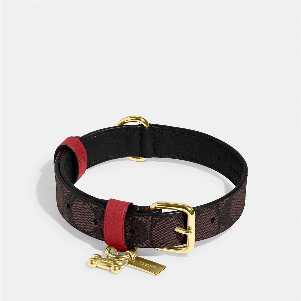 Boxed Pet Collar In Signature Canvas Y675
