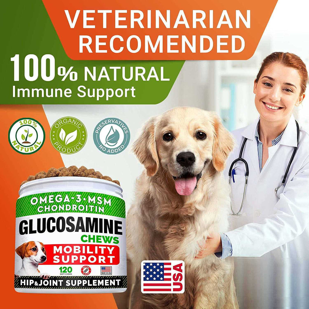 Glucosamine Chews for Dogs and Cats H632099