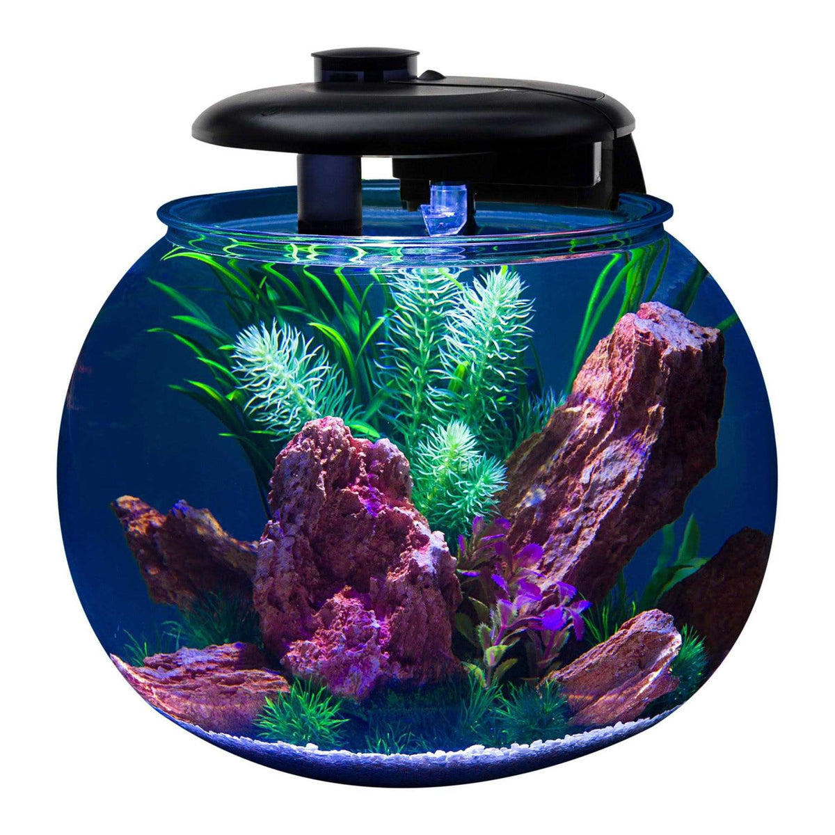 10 Gallon Bowl-Shaped Aquarium C606