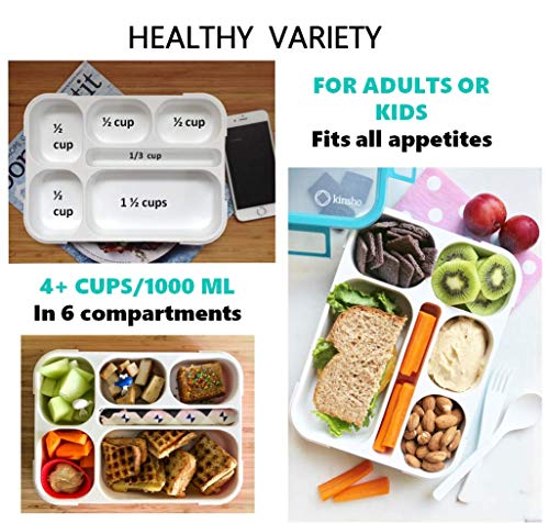 6 Compartment Bento Box Lunchbox Snack Containers, Set of 3, Pink Purple Orange M5053