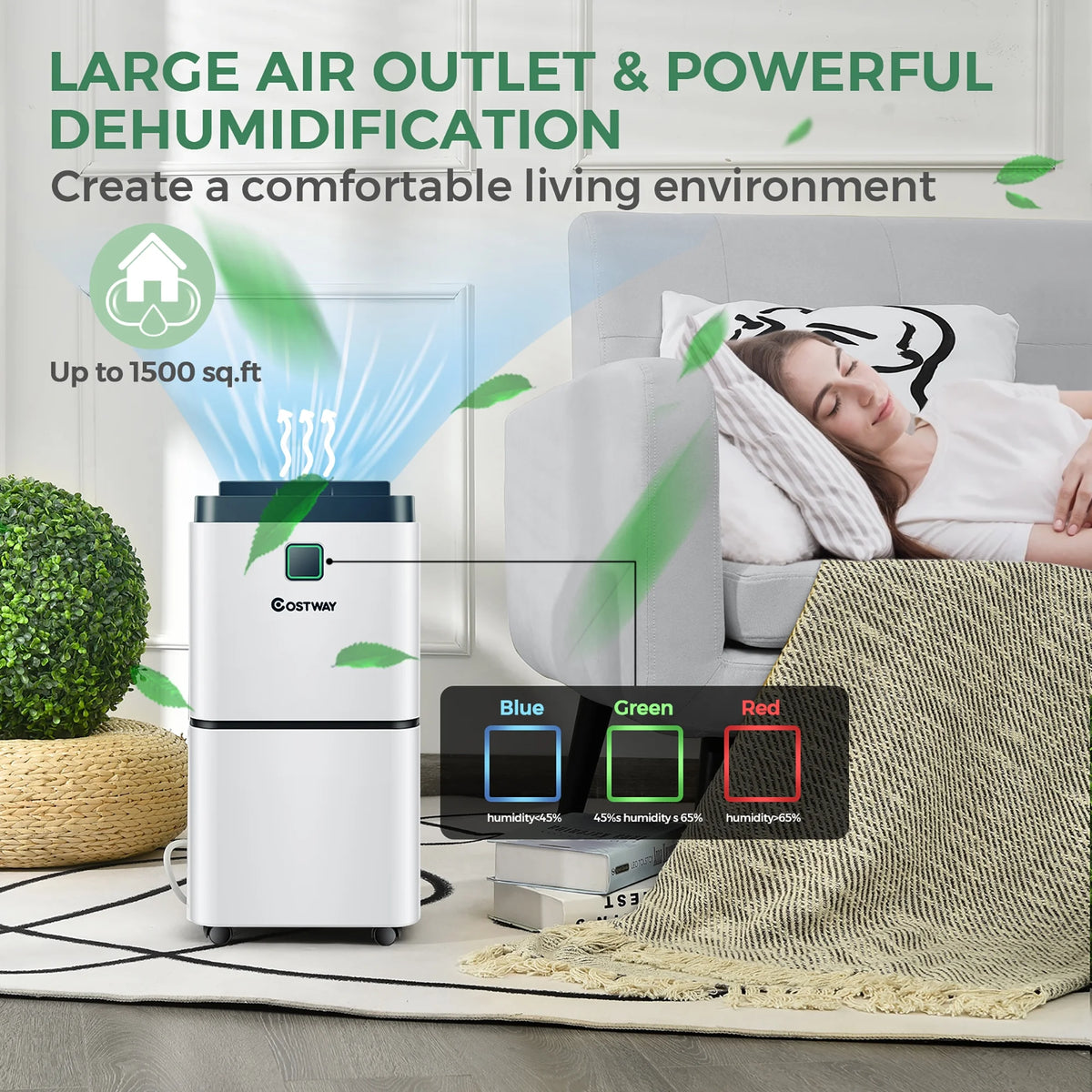 24 Pints Portable Dehumidifier B6594