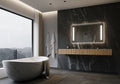 48 x 28 Rectangle Illuminated Mirror 6000K B709488