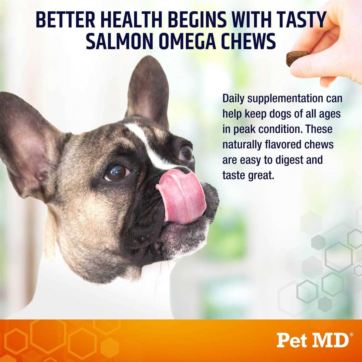Salmon Omega Soft Chew Bites for Dogs 120ct J697771