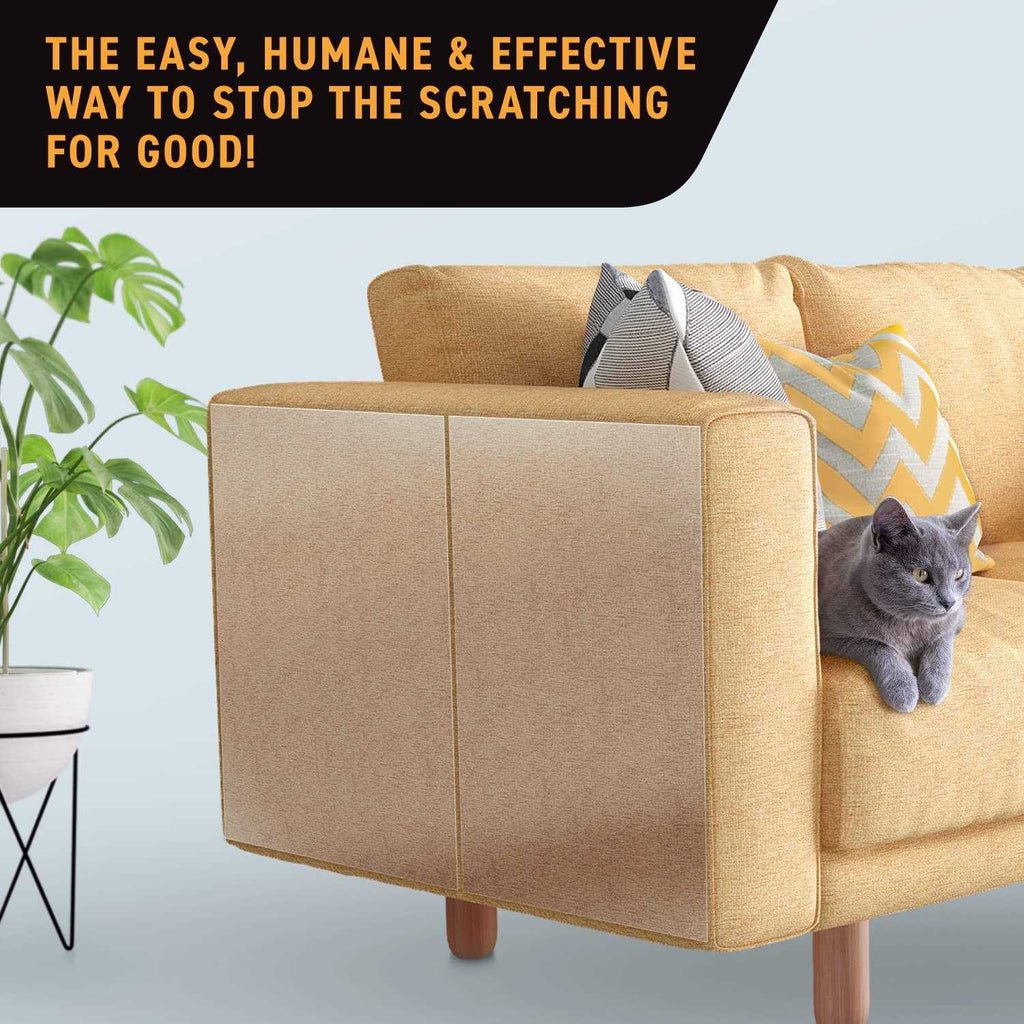 Cat Scratch Tape Sheets K95461