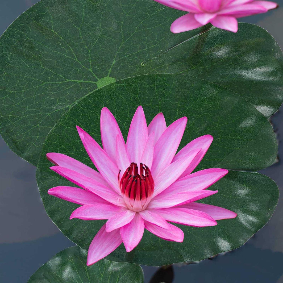 Artificial Lotus Leaves Lily Pads Floating Foam Q988