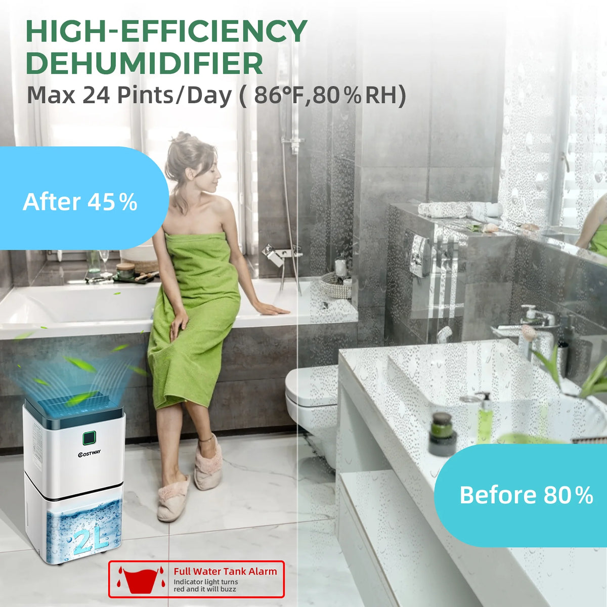 24 Pints Portable Dehumidifier B6594
