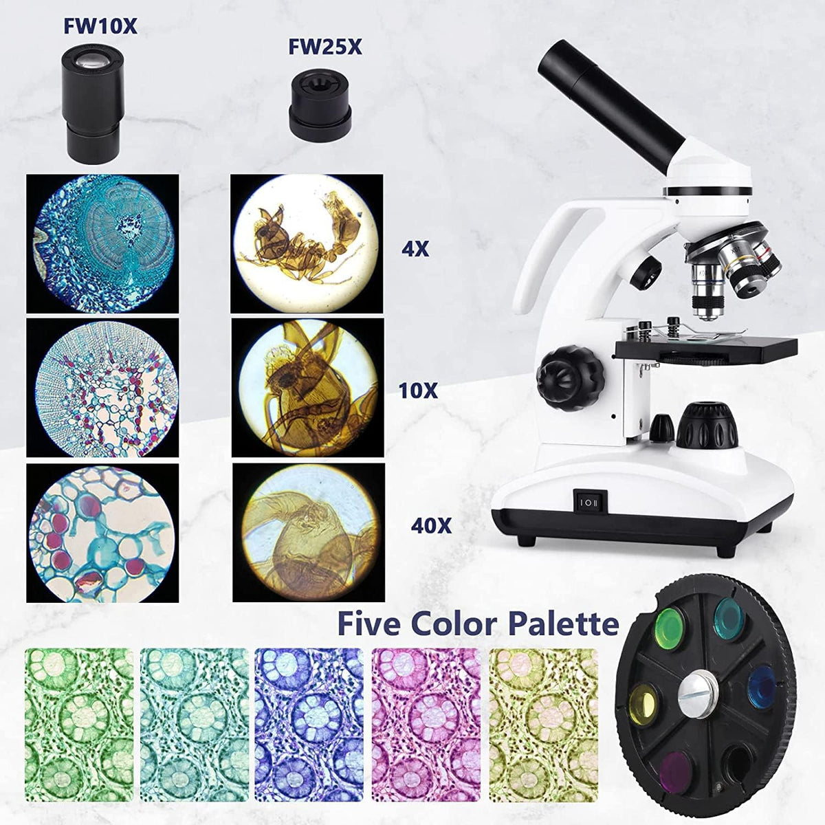 Cordless Biological Compound Monocular Microscope with Slides Set and Phone Adapter C313