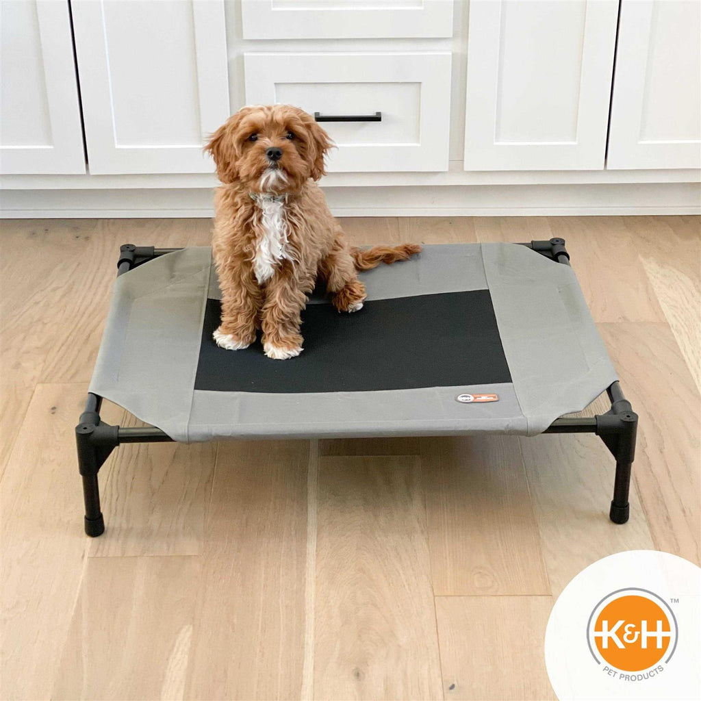Realtree Pet Cot Y39387