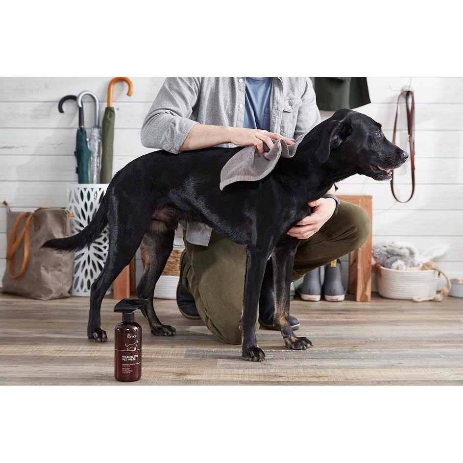 Waterless No Rinse Moisturizing Cat & Dog Shampoo U80643