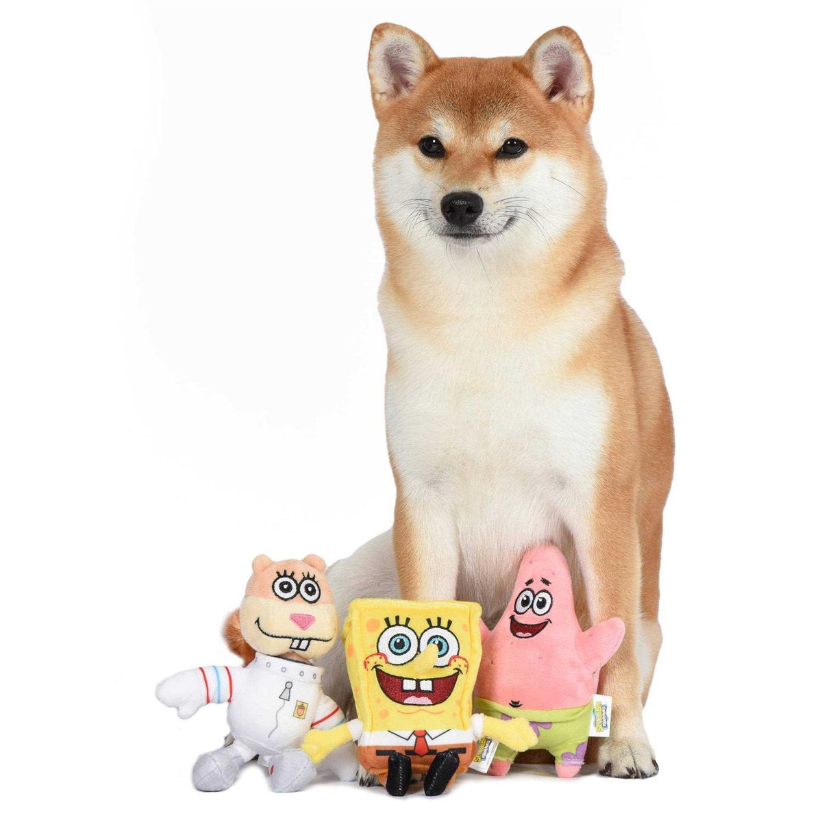 Plush Dog Toy V3992
