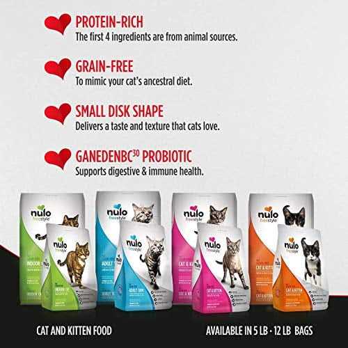 Salmon & Lentils Grain-Free Dry Cat Food B693