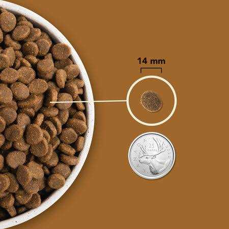 Dog Food Y9736